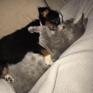 Meet your Posher, Donny